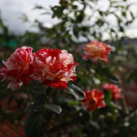 Homestay Doc Tinh Da Lat Esterno foto