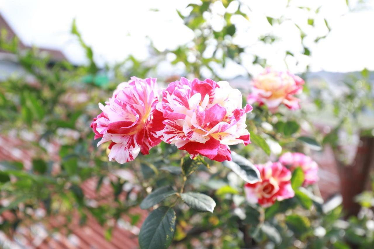 Homestay Doc Tinh Da Lat Esterno foto