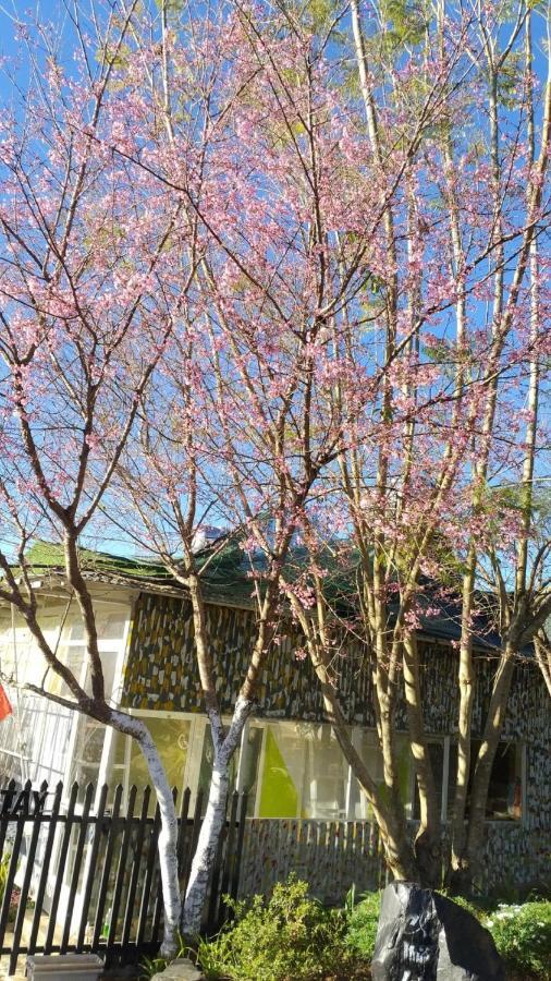 Homestay Doc Tinh Da Lat Esterno foto